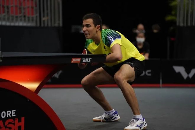 由此可见 由此可见