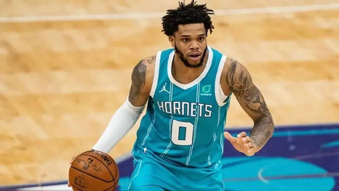 在波兰国家 在波兰国家