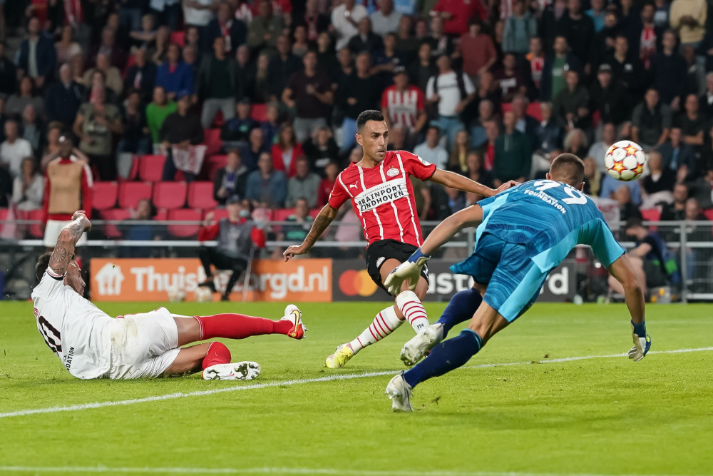 期待阿方索 期待阿方索